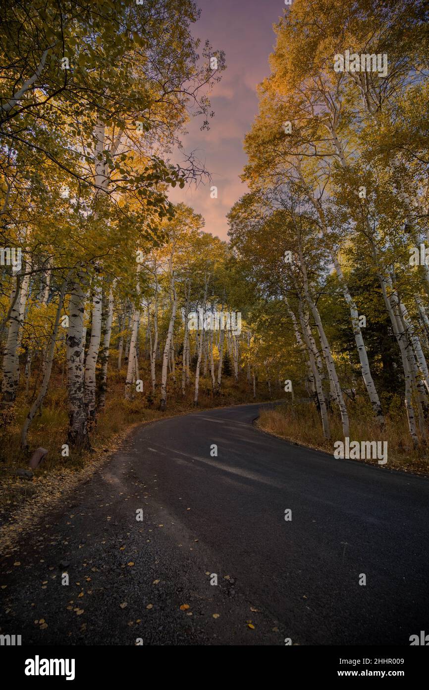 Il percorso alpino Foto Stock