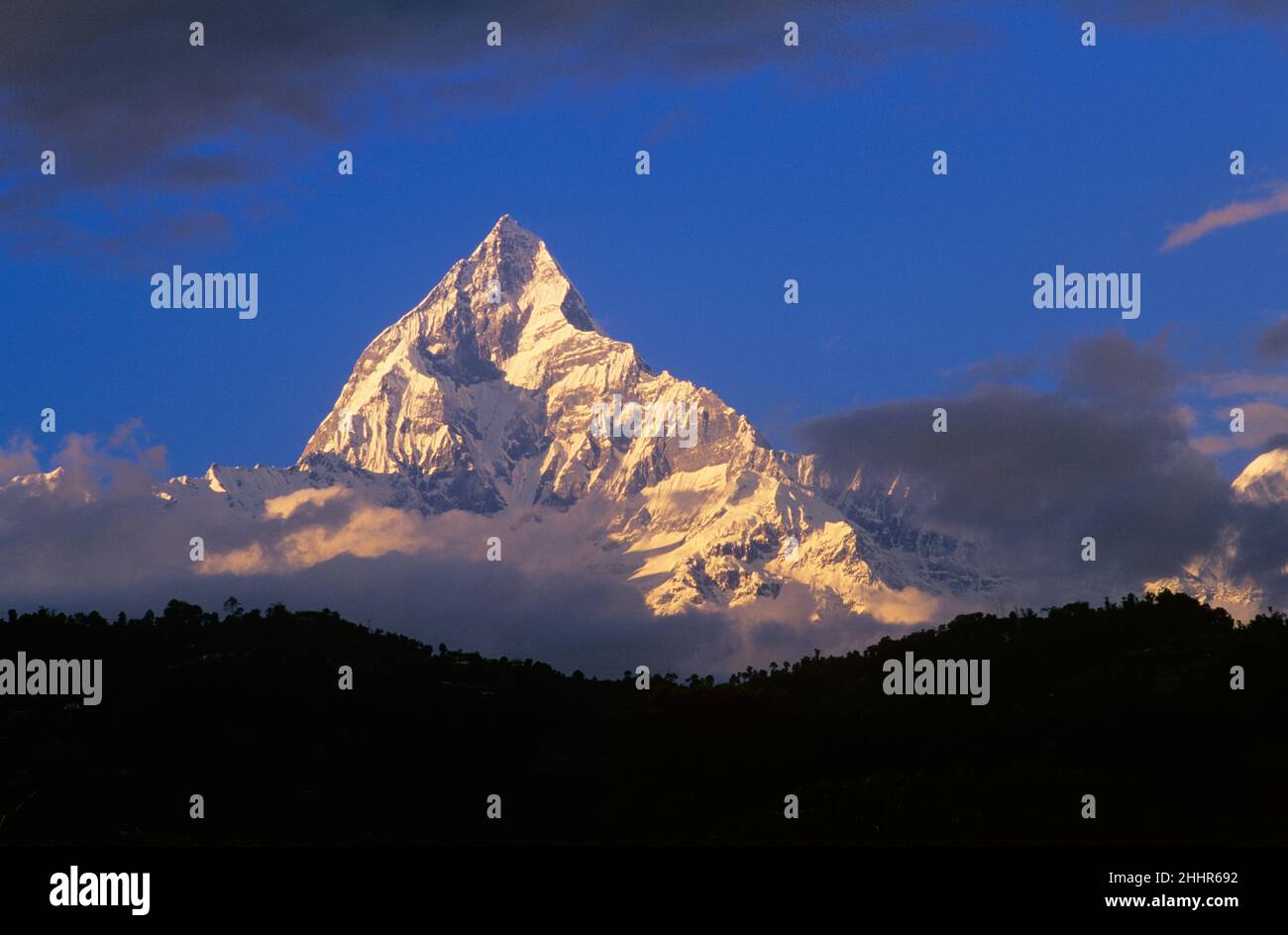 Machhapuchhre Peak al Sunrise, Anrapurna Range, Nepal Foto Stock