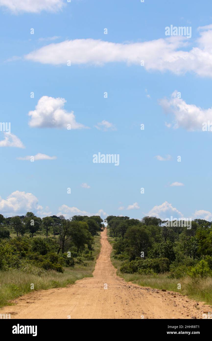 Paesaggio e paesaggio del Parco Nazionale di Kruger Foto Stock