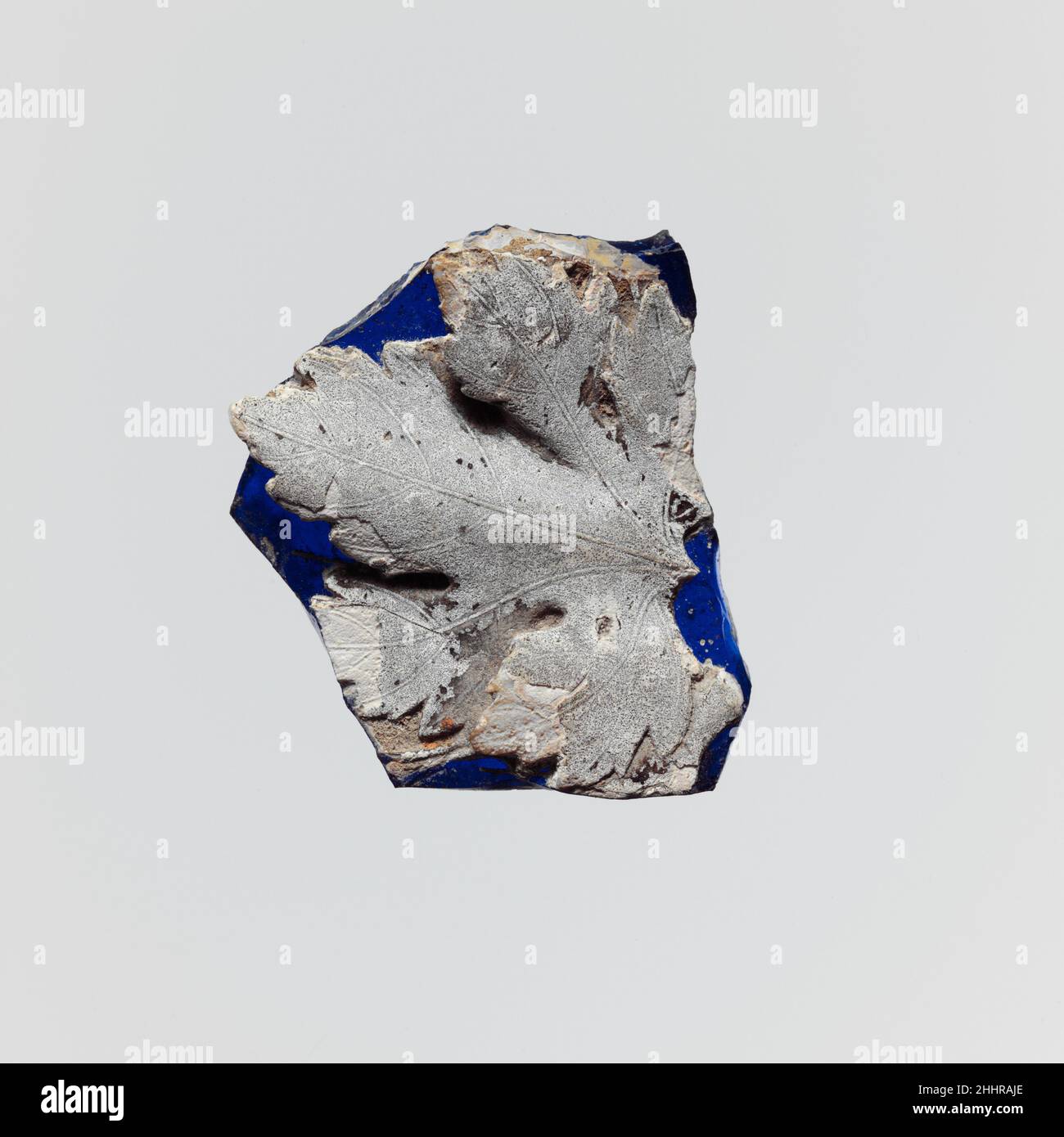 Frammento di cameo di vetro fine 1st secolo a.C.–metà 1st secolo d.C. romano traslucido blu cobalto con sovrapposizione in bianco opaco.frammento di corpo cilindrico con lato curvo concavo.sul lato esterno, in rilievo profondo in bianco una grande foglia di vite, scolpita in dettaglio fine, Che mostra vene e la consistenza della foglia surface.Broken su tutti i lati con bordi intemperati; scolorimento, vaiolatura di bolle di superficie, un certo iridescence brillante, e cremoso spesso marrone intemperie su overlay bianco. Segni di smerigliatura rotativi all'interno. Frammento di cameo di vetro 249602 Foto Stock