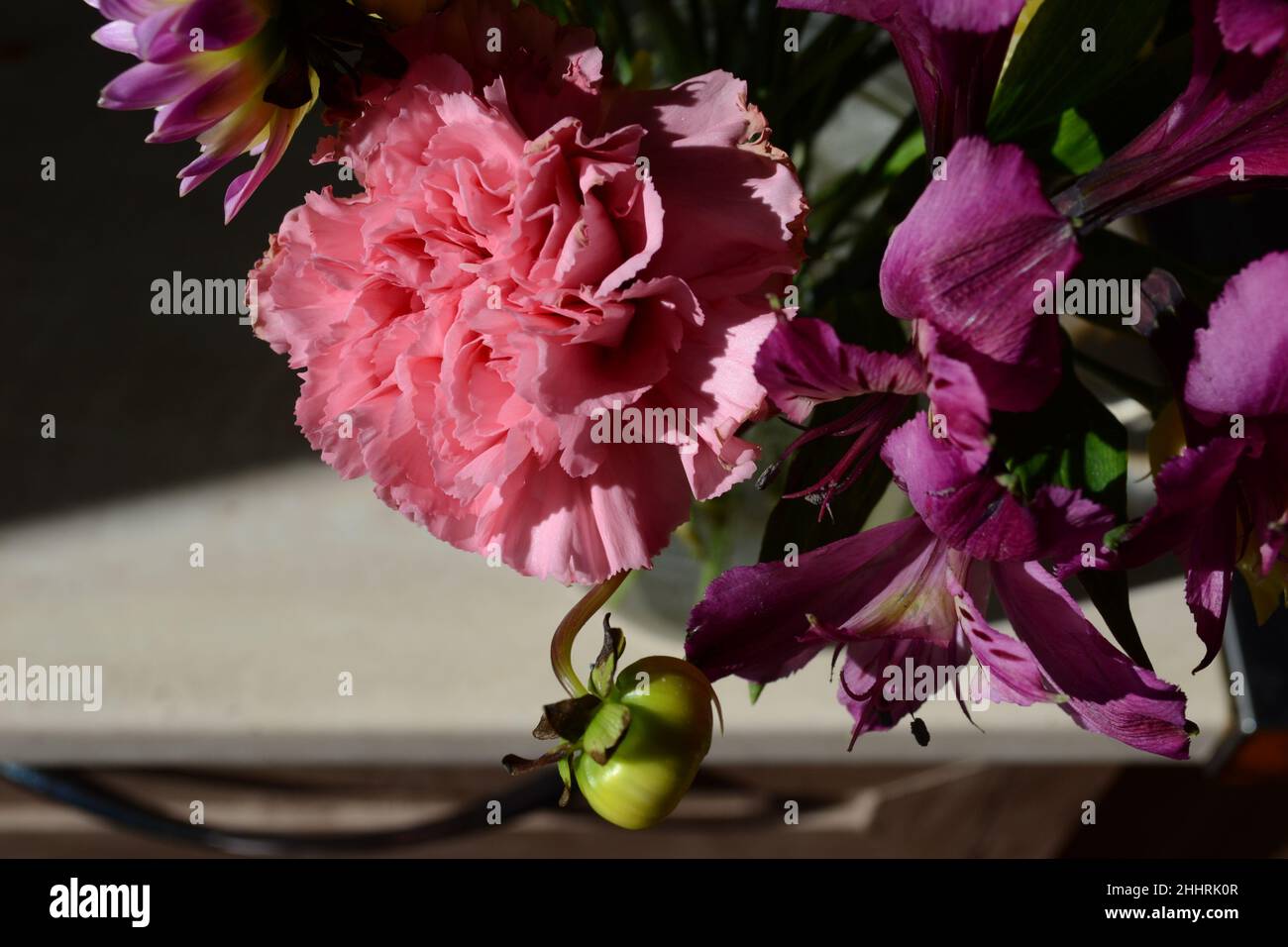 Fiori rosa in vaso, bella carta di fiori. Bellezza dei fiori. Foto Stock