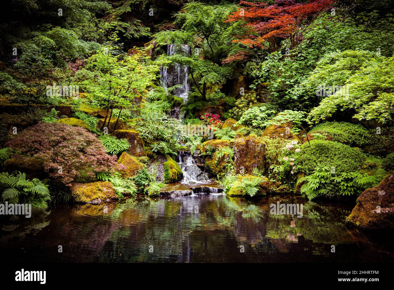 Tranquillo giardino scena con una cascata e un laghetto calmo in una scena di alberi e fiori belli Foto Stock