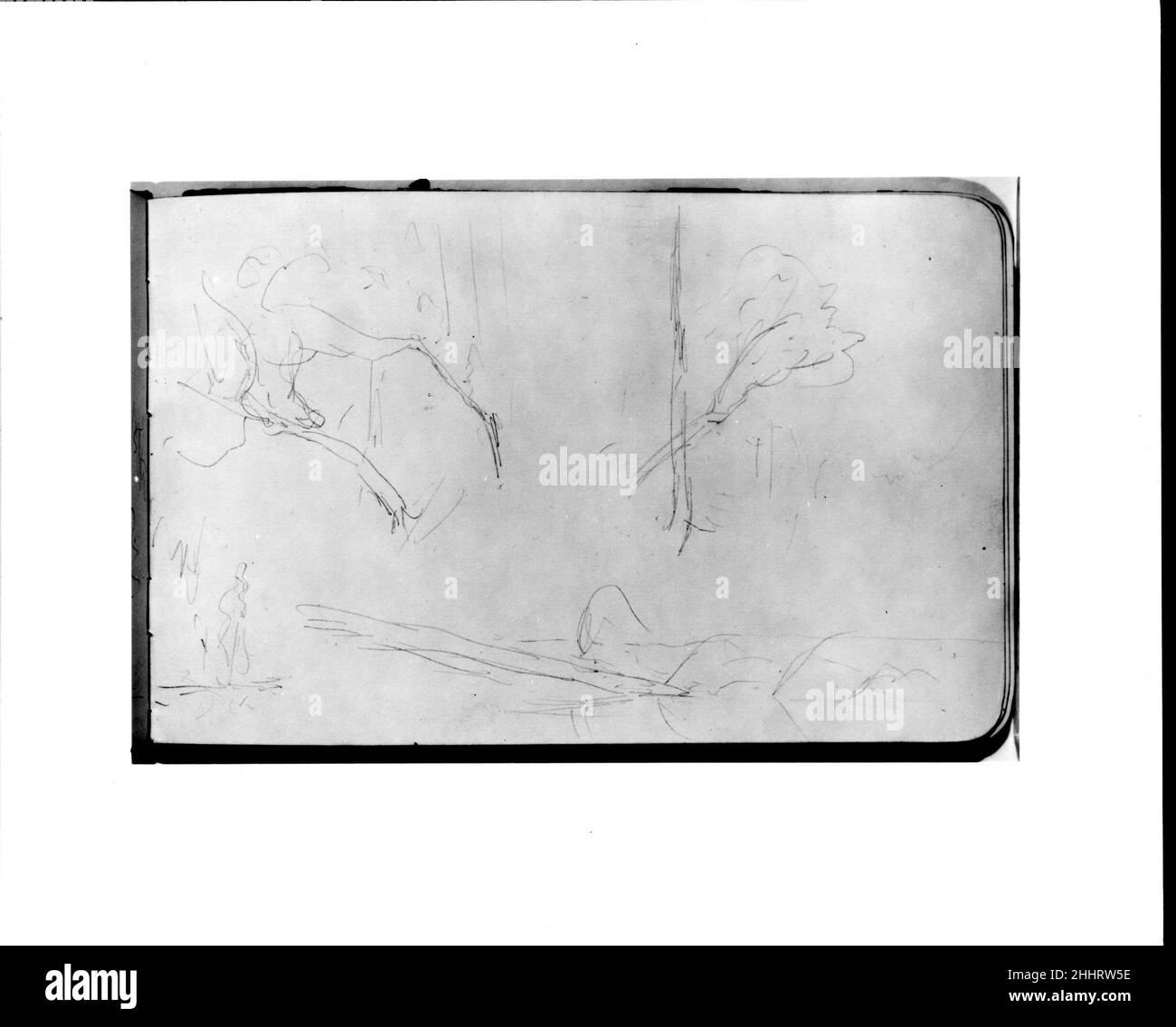 Schizzi di alberi (da Sketchbook) 1890 Albert Bierstadt American. Schizzi di alberi (da Sketchbook). Albert Bierstadt (americano, Solingen 1830–1902 New York). Americano. 1890. Grafite su carta strizzata Foto Stock