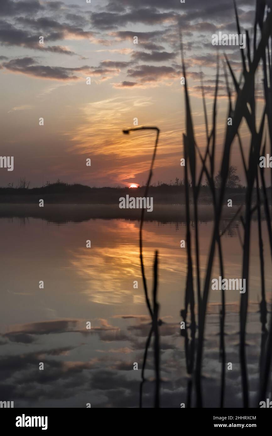 Baie de Somme , marais en fond de baie, la vallée de la Somme Foto Stock