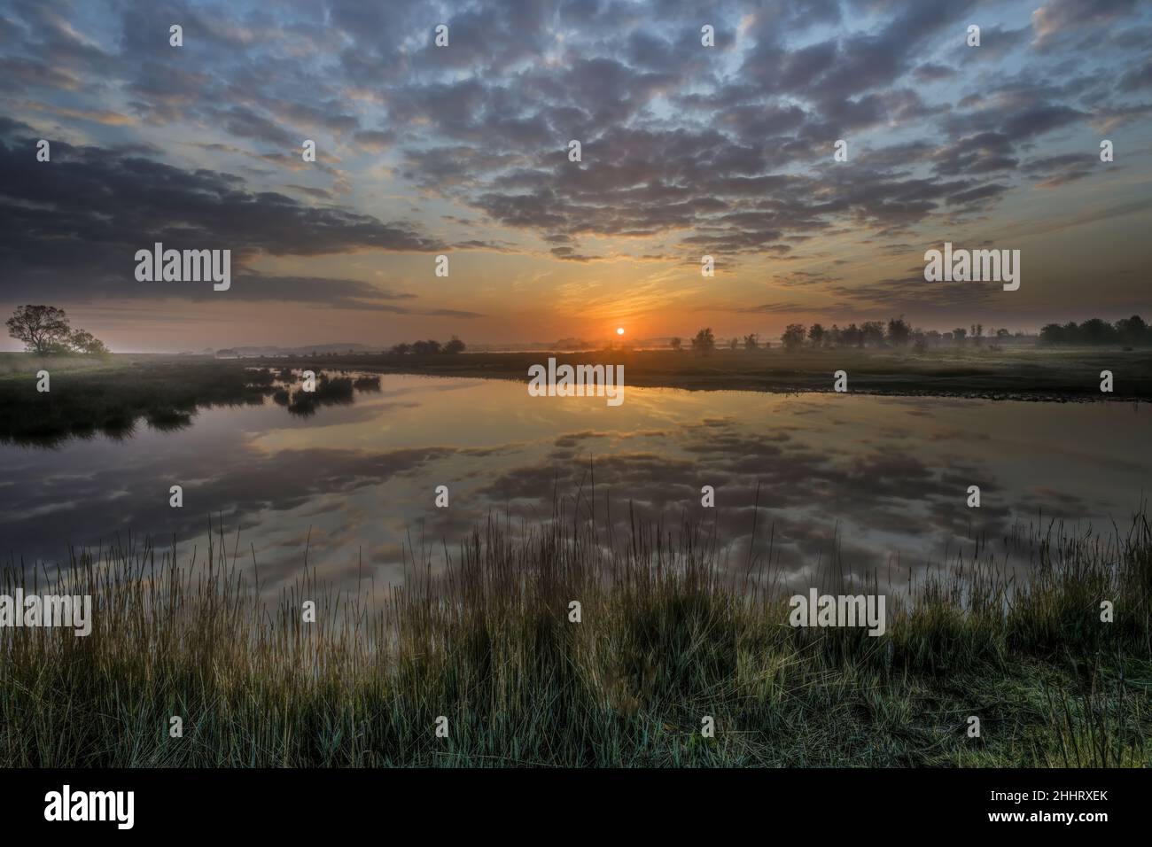 Baie de Somme , marais en fond de baie, la vallée de la Somme Foto Stock