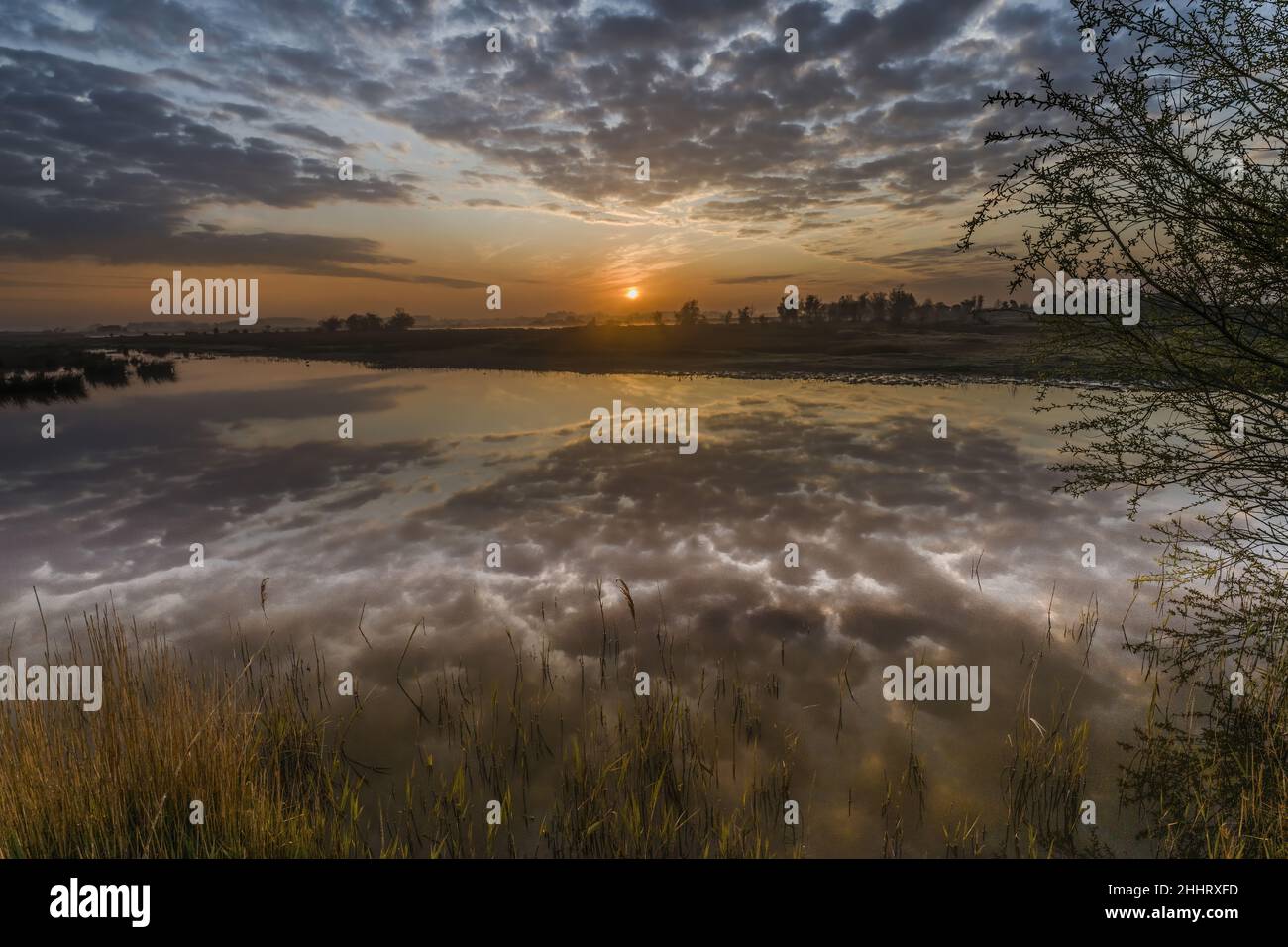 Baie de Somme , marais en fond de baie, la vallée de la Somme Foto Stock