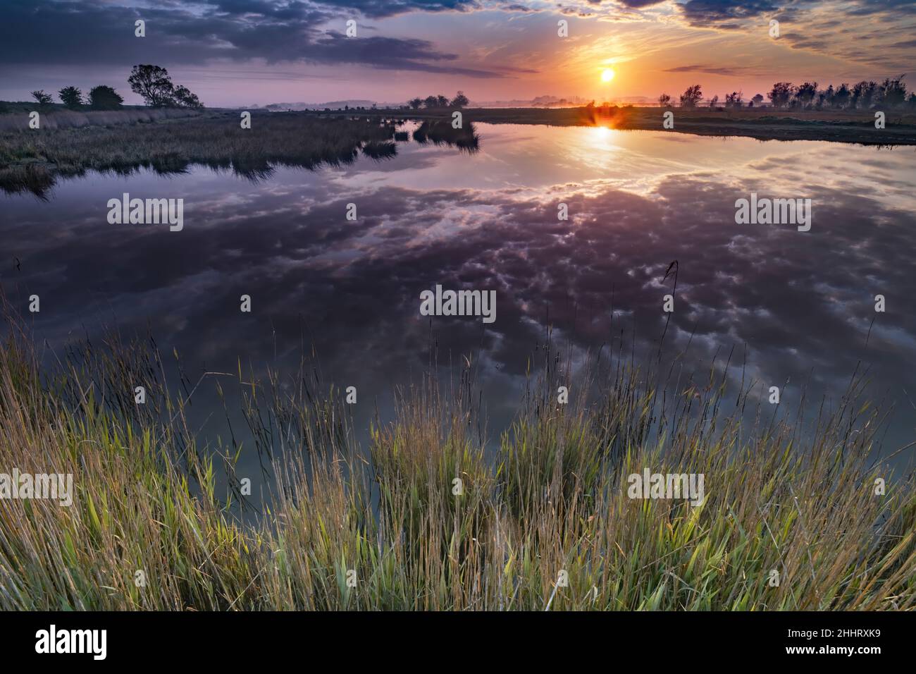 Baie de Somme , marais en fond de baie, la vallée de la Somme Foto Stock