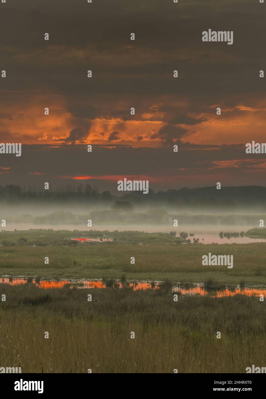 Baie de Somme , marais en fond de baie, la vallée de la Somme Foto Stock