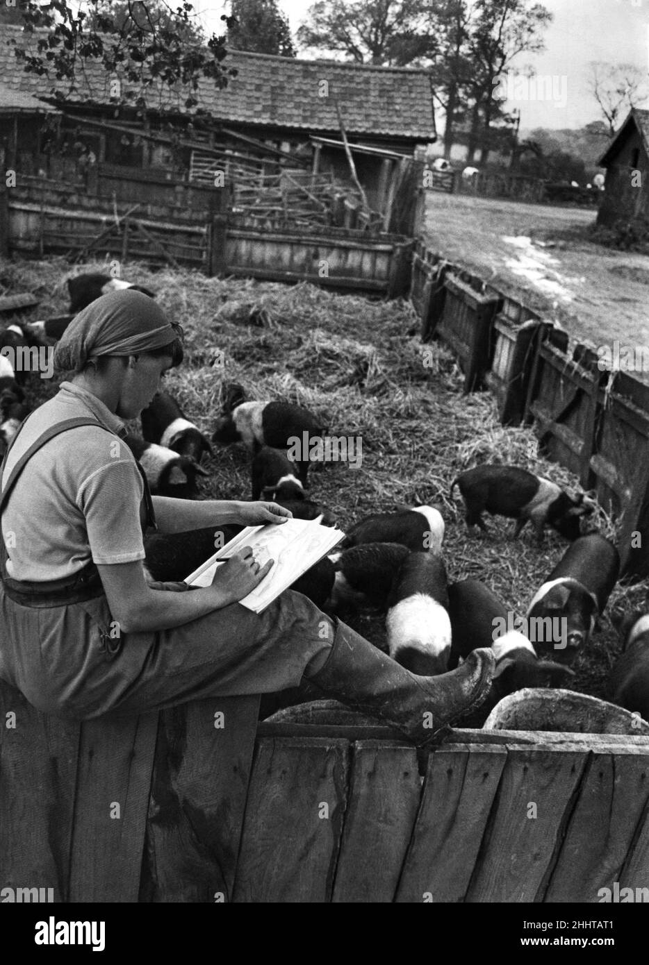 Joan Taylor ex artistress trova ancora il tempo di praticare la nuova arte ed è visto in uno schizzo del cortile dove lavora come darrymaid nel Suffolk. Novembre 1942 P003519 Foto Stock