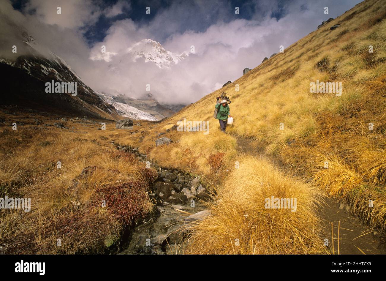 Porter nella regione di Annapurna, Nepal NESSUN MODELLO DI RILASCIO Foto Stock