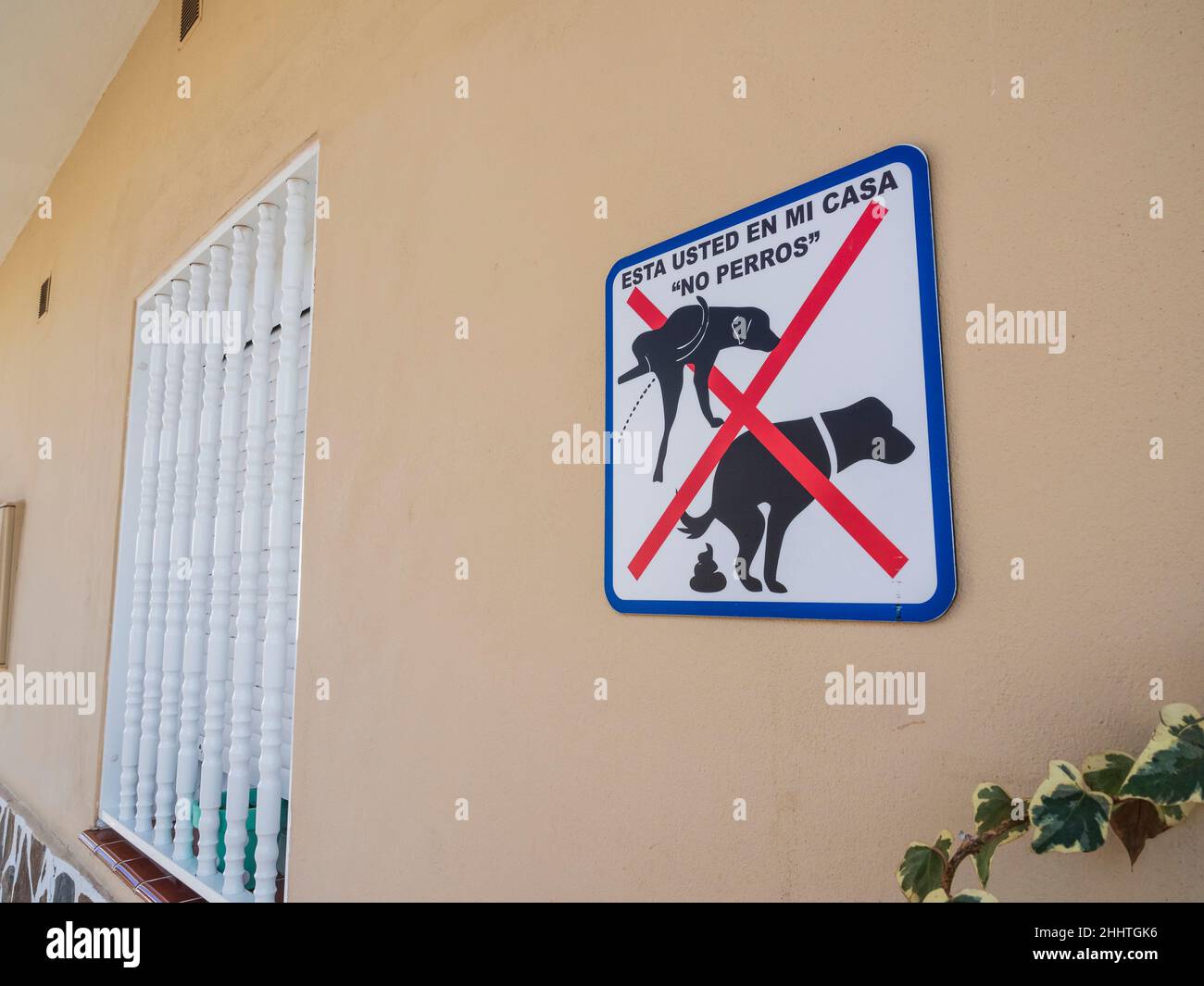 Puerto Santiago, Tenerife - scena stradale nella città vecchia. Cani non Benvenuto. Foto Stock