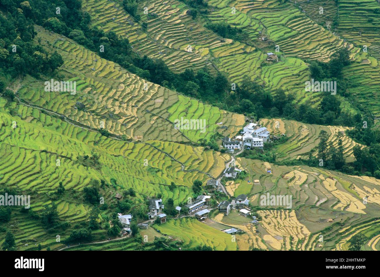 Panoramica di un piccolo villaggio circondato da campi terrazzati, regione Annapurna, Nepal Foto Stock