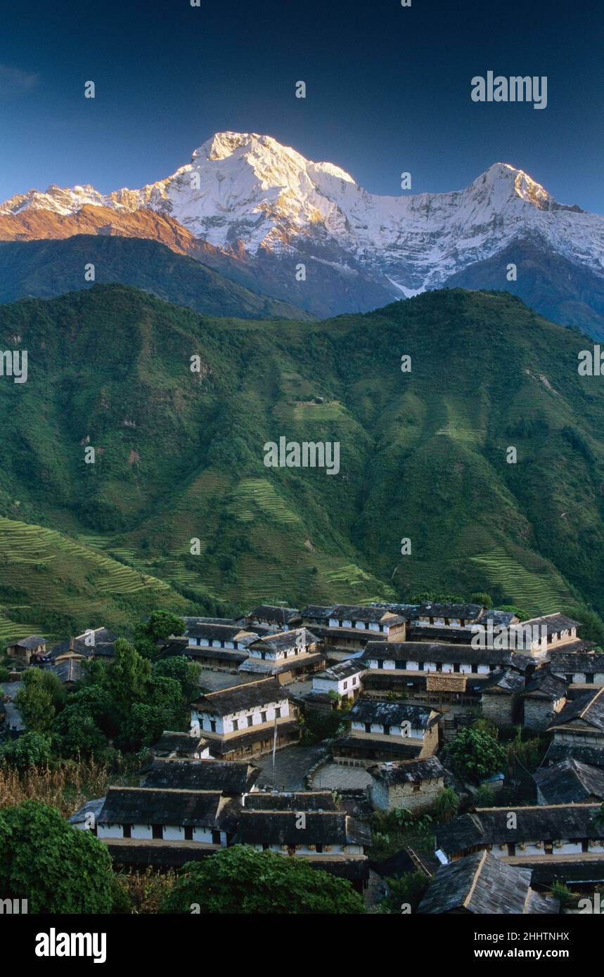 Villaggio di Ghandruk e Annoncurna montagna del sud, regione di Annapurna, Nepal Foto Stock