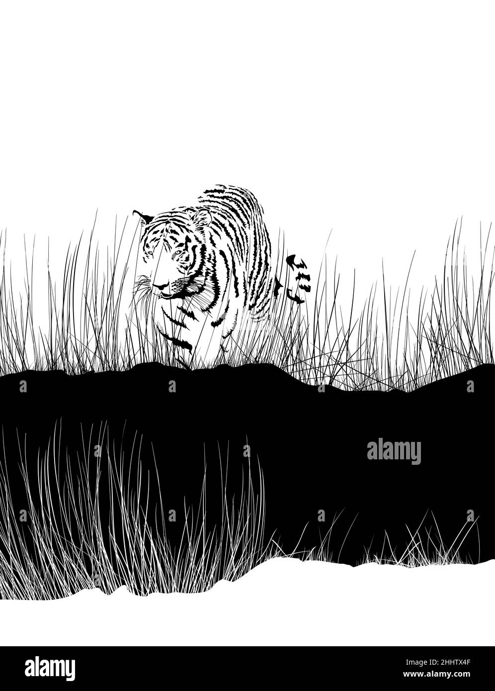 Tigre nell'erba alta Illustrazione Vettoriale