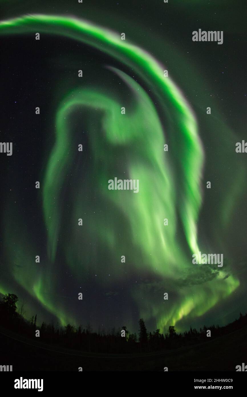 Aurora Borealis ha formato come una persona con lo scudo, territori del nord-ovest Canada Foto Stock