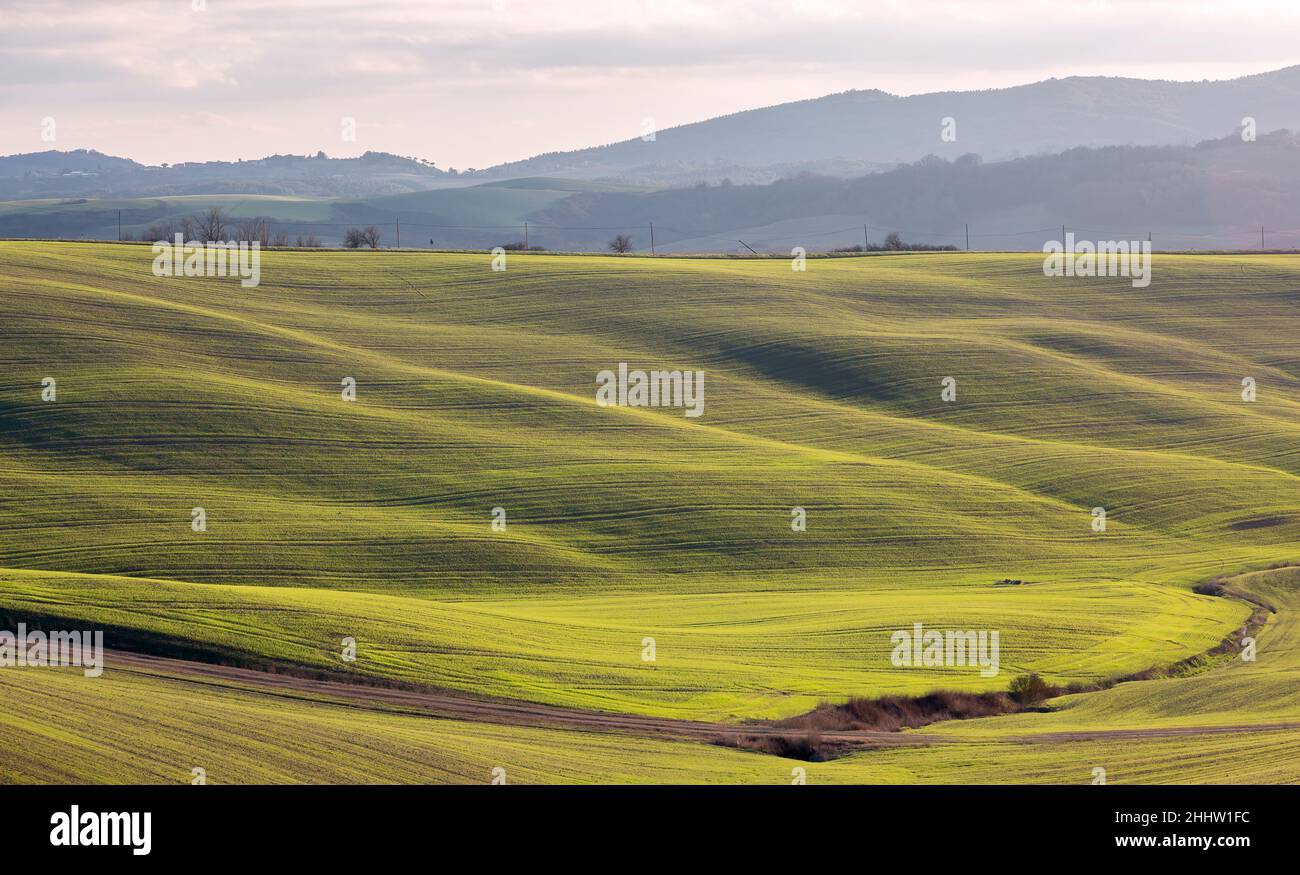 Paesaggio toscano delle colline Crete Senesi e in una giornata di sole con un cielo limpido. Foto Stock