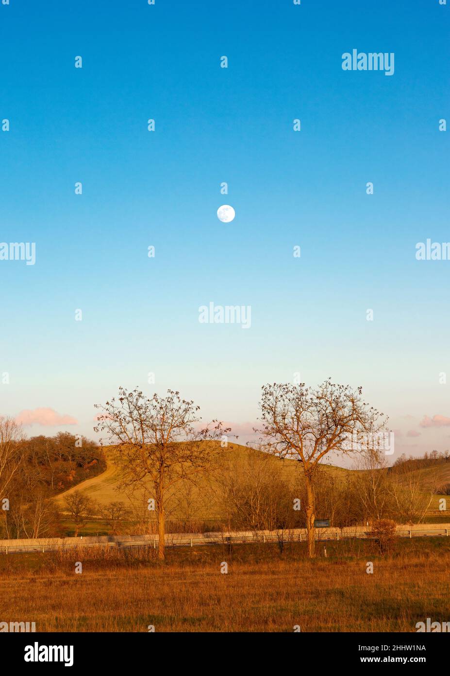 Paesaggio verticale di luna piena al tramonto con un cielo blu e due alberi. Foto Stock