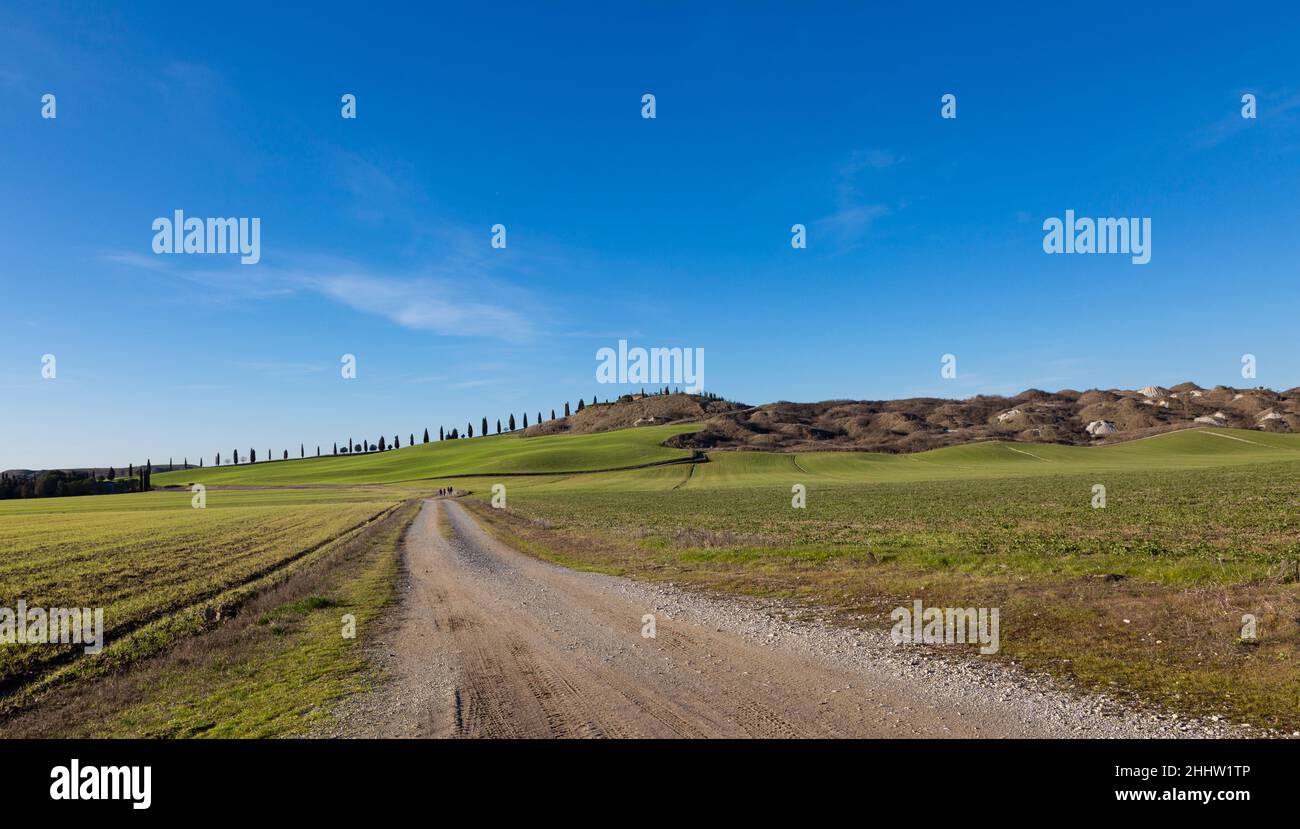 Paesaggio toscano delle colline Crete Senesi e in una giornata di sole con un cielo limpido. Foto Stock