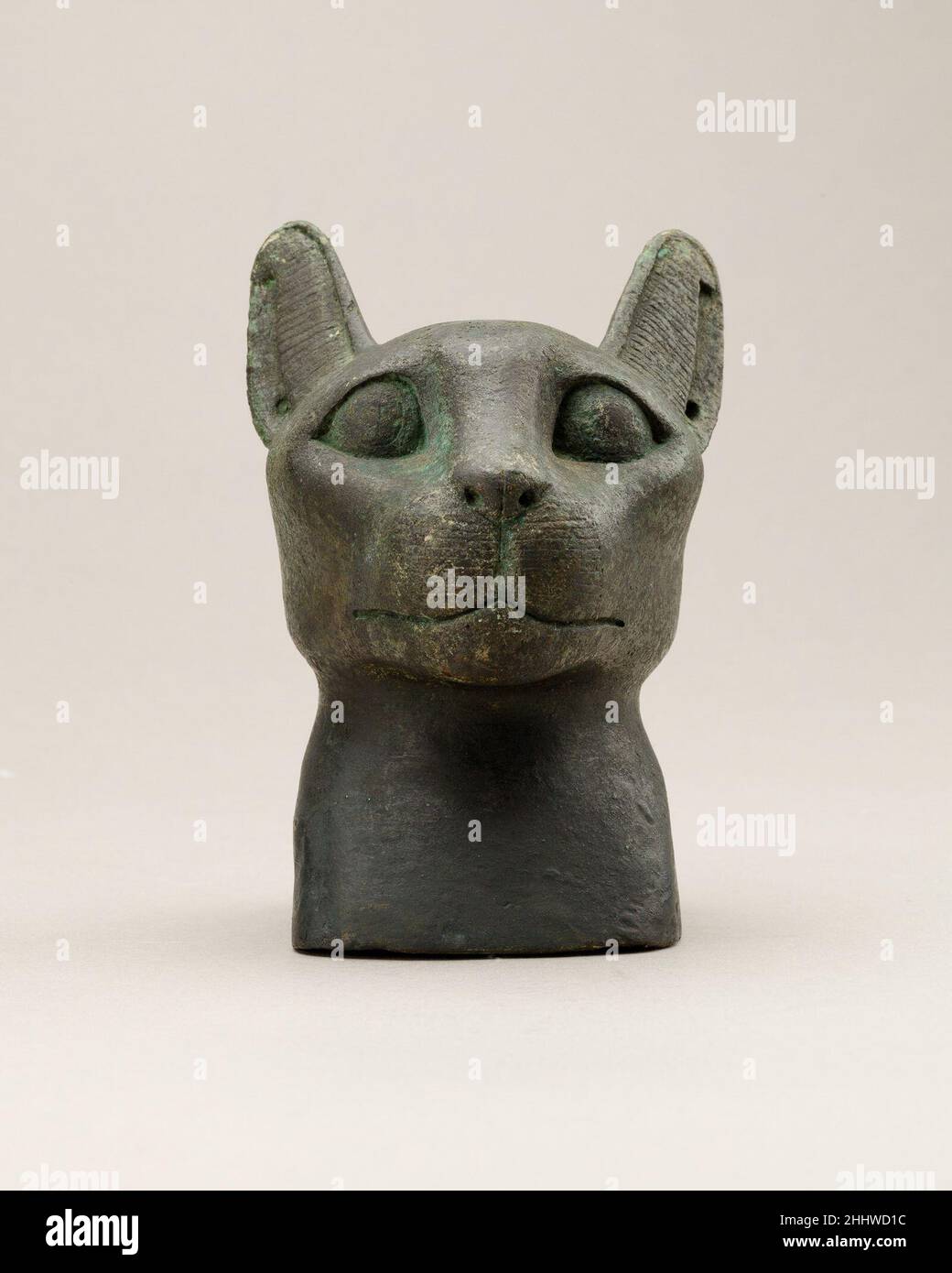 Testa di un gatto 664–30 a.C. periodo tardo-periodo tolemaico il gatto era  sacro alla dea Bastet, ed era offerto in santuari e depositato in necropoli  animali in tutto l'Egitto. Questo gatto ha