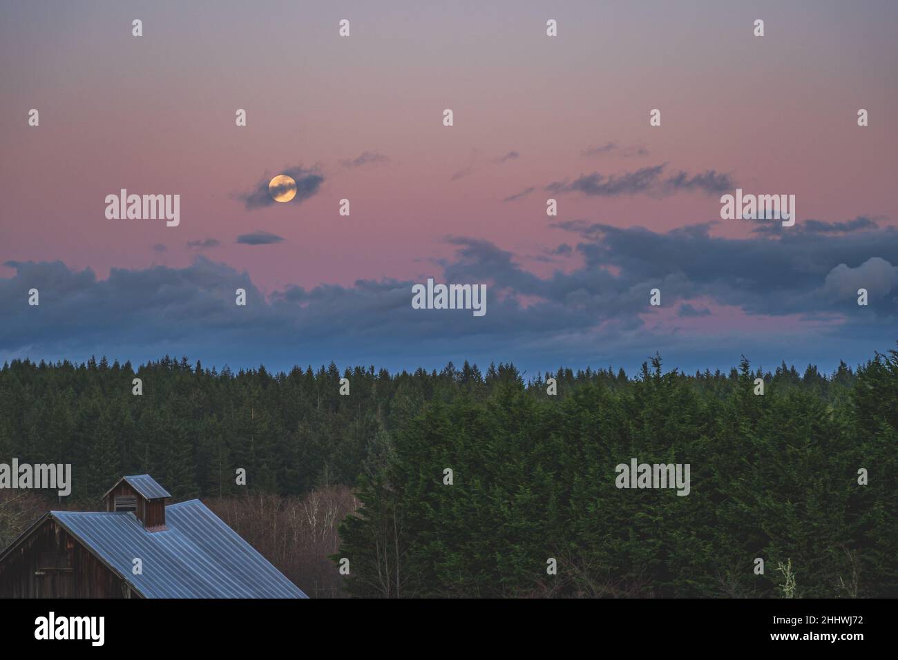 Spettacolare cielo serale con luna gialla che si innalza sulla scena della contea Foto Stock