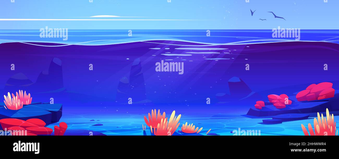 Barriera corallina vista oceano o mare subacqueo sfondo. Fondo con sabbia e alghe crescono a rocce sotto le travi di sole che cadono dal cielo con uccelli volanti. Illustrazione vettoriale sottomarino marino Cartoon Illustrazione Vettoriale Barriera corallina vista oceano o mare subacqueo sfondo. Fondo con sabbia e alghe crescono a rocce sotto le travi di sole che cadono dal cielo con uccelli volanti. Illustrazione vettoriale sottomarino marino Cartoon Illustrazione Vettoriale