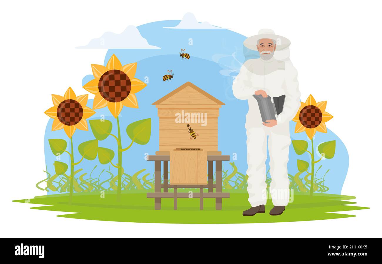 Apicoltori persone lavorano su apiario, produzione di miele vettore illustrazione. Cartoon vecchio aporiarista carattere apicoltura, tenuta a nido d'ape, standi Illustrazione Vettoriale
