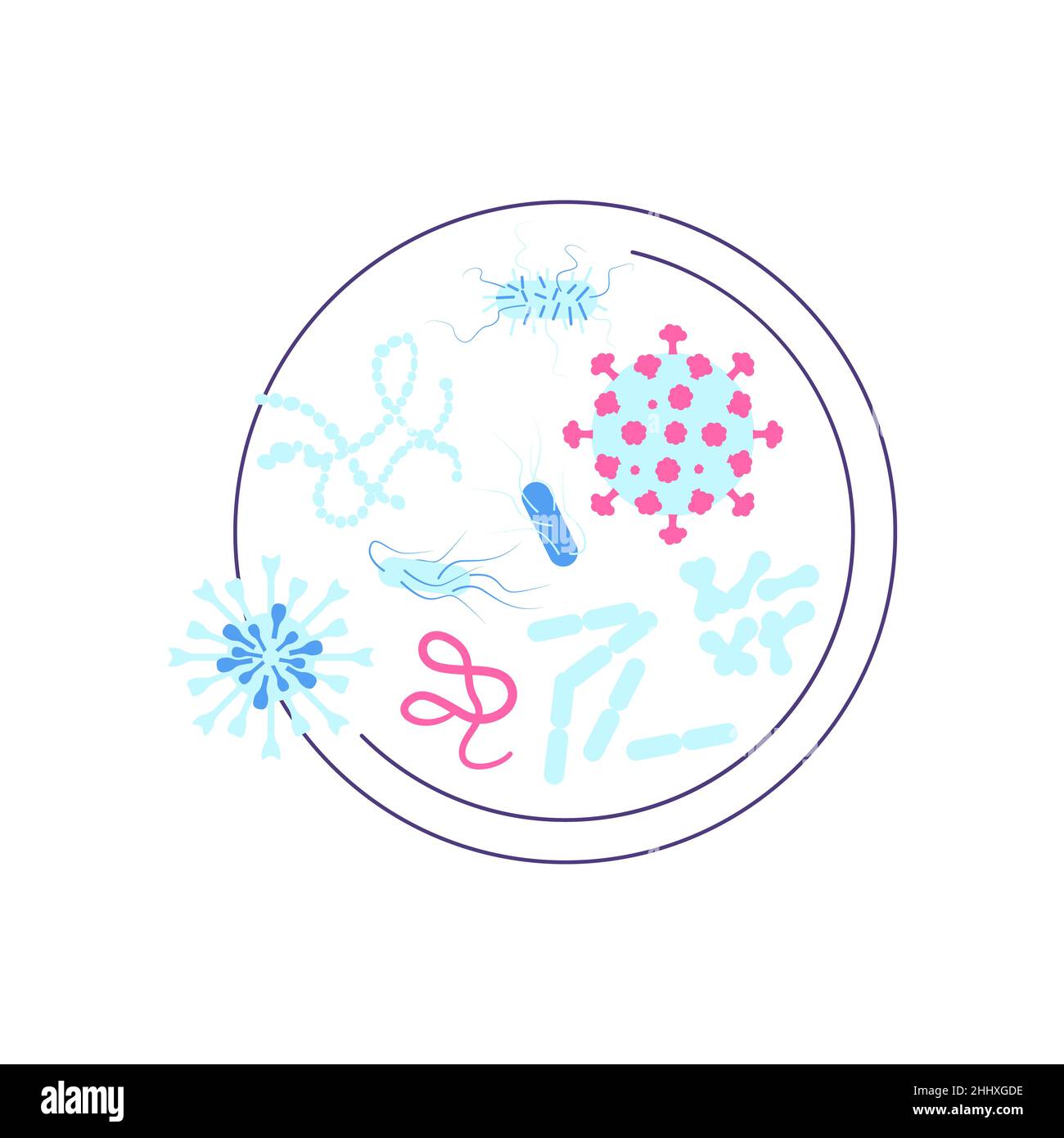 Capsula di Petri con vari batteri e virus. Scienza, chimica ed esplorazione simbolo. Illustrazione Flat Art Foto Stock