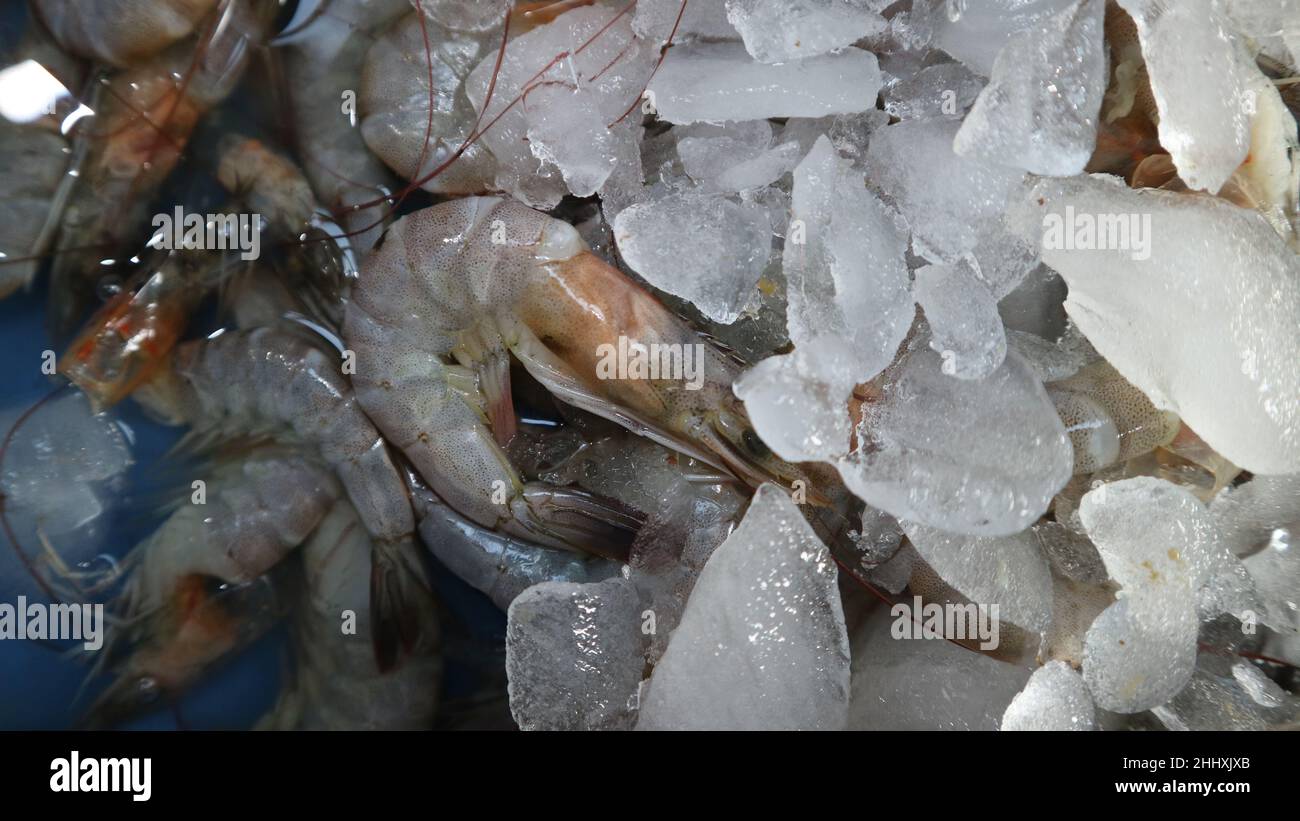 I gamberetti sono anche un pilastro del tradizionale mercato del pesce malang in Indonesia Foto Stock