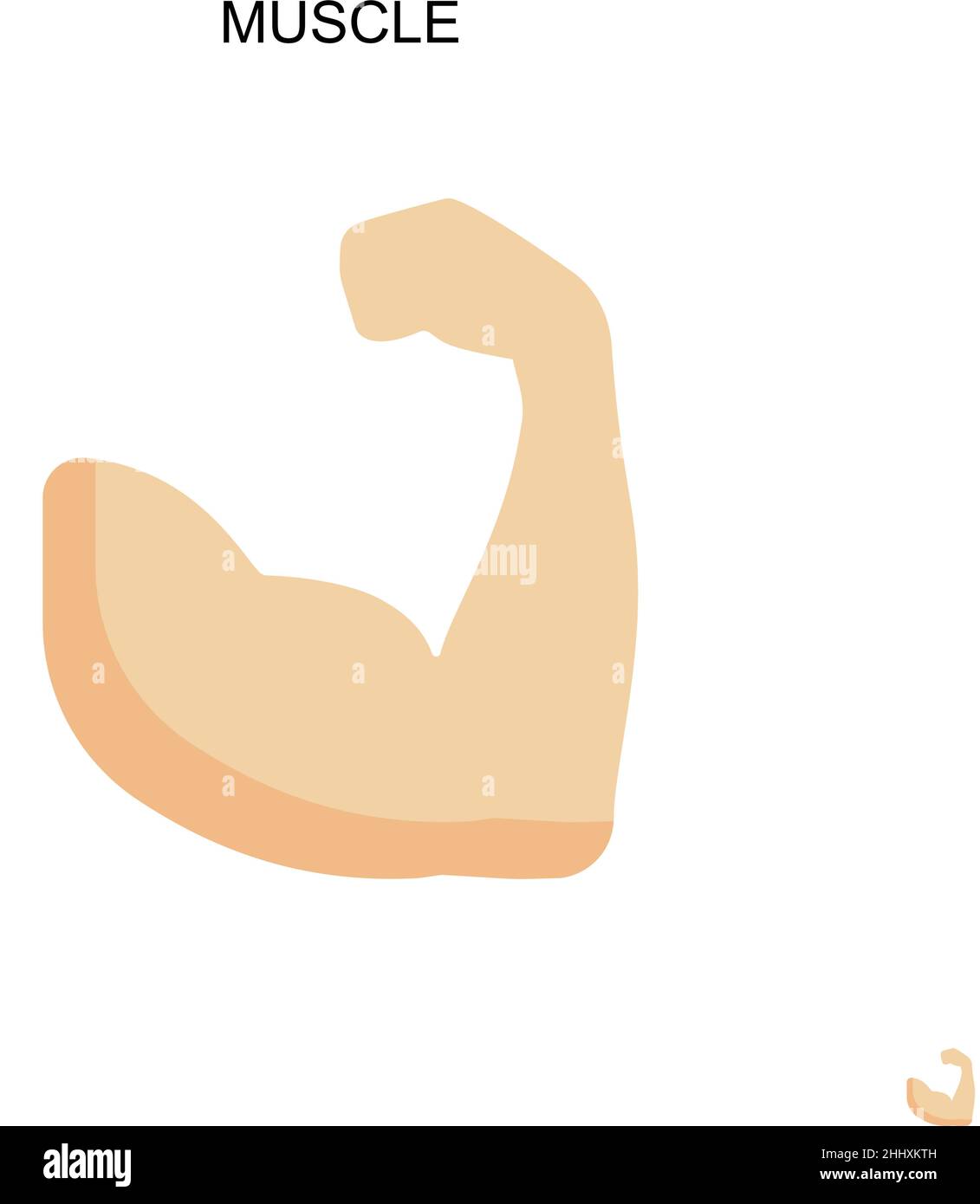 Icona del vettore muscolo semplice. Modello di disegno del simbolo di illustrazione per l'elemento dell'interfaccia utente mobile Web. Illustrazione Vettoriale