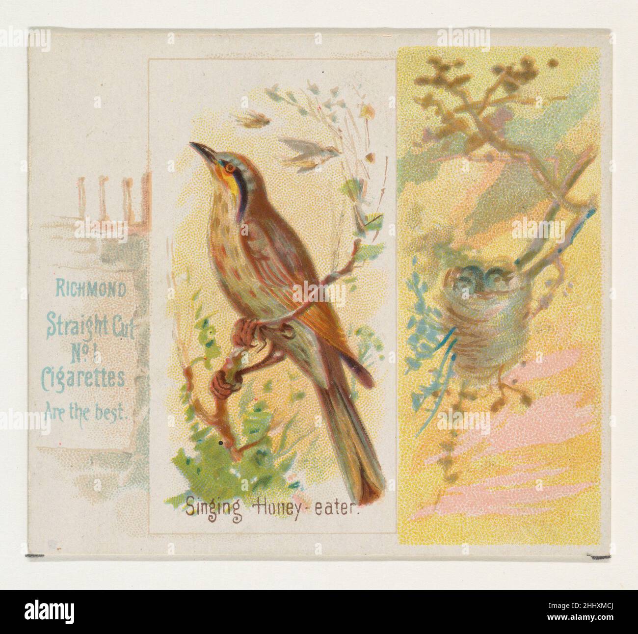 Canto Honey-eater, della serie Song Birds of the World (N42) per sigarette Allen & Ginter 1890 rilasciato da Allen & Ginter American Large Trade cards della serie "Song Birds of the World" (N42), Pubblicato nel 1890 in un set di 50 carte per promuovere sigarette a marchio Allen & Ginter. La serie N42 riproduce le carte del N23 in dimensioni maggiori. Canto Miele-mangiatore, dalla Song Birds of the World serie (N42) per Allen & Ginter sigarette 422047 Foto Stock