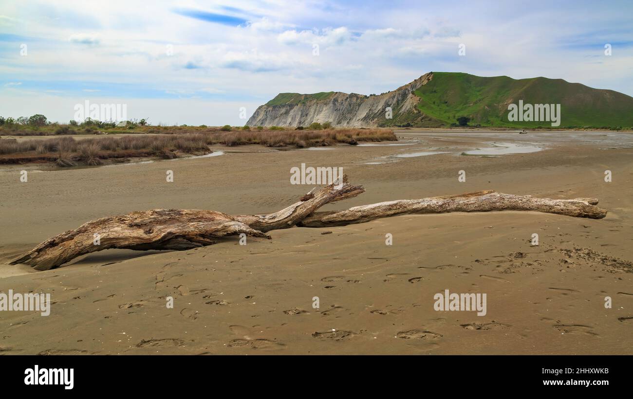 Un ceppo di legno di driftwood si trova sulla sabbia a te Wherowhero Lagoon, un estuario marea nella regione di Gisborne, Nuova Zelanda. All'orizzonte c'è la testa del giovane Nick Foto Stock
