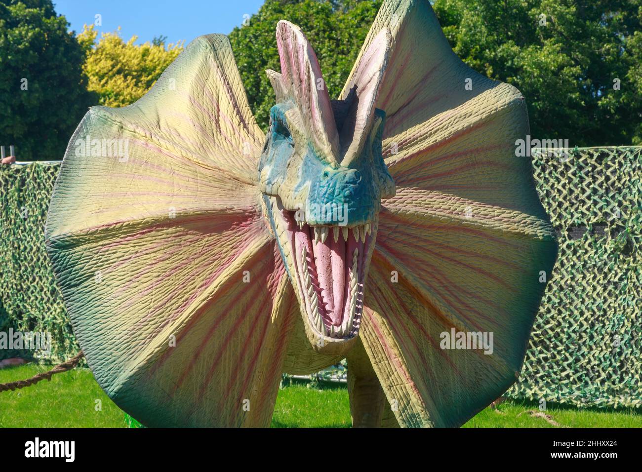 Un modello del dinosauro carnivoro Dilofosauro. Questa ricreazione speculativa dà all'animale un grande collo frill Foto Stock