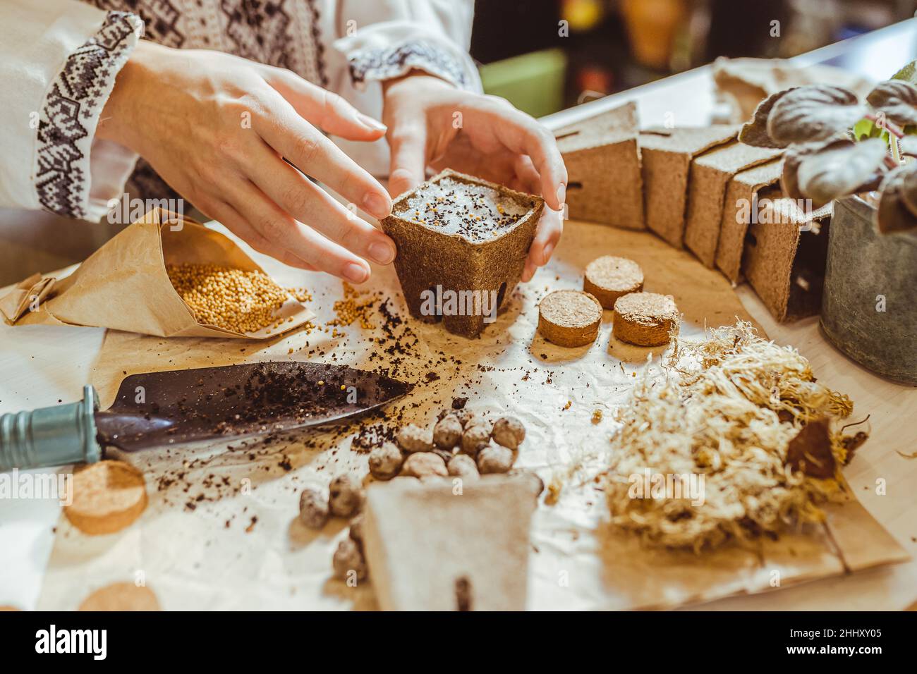 processo di stratificazione dei semi piantando su strato di neve sulla parte superiore del terreno. le mani del giardiniere in camicia ricamata etnica piantano semi in ecologi di torba Foto Stock
