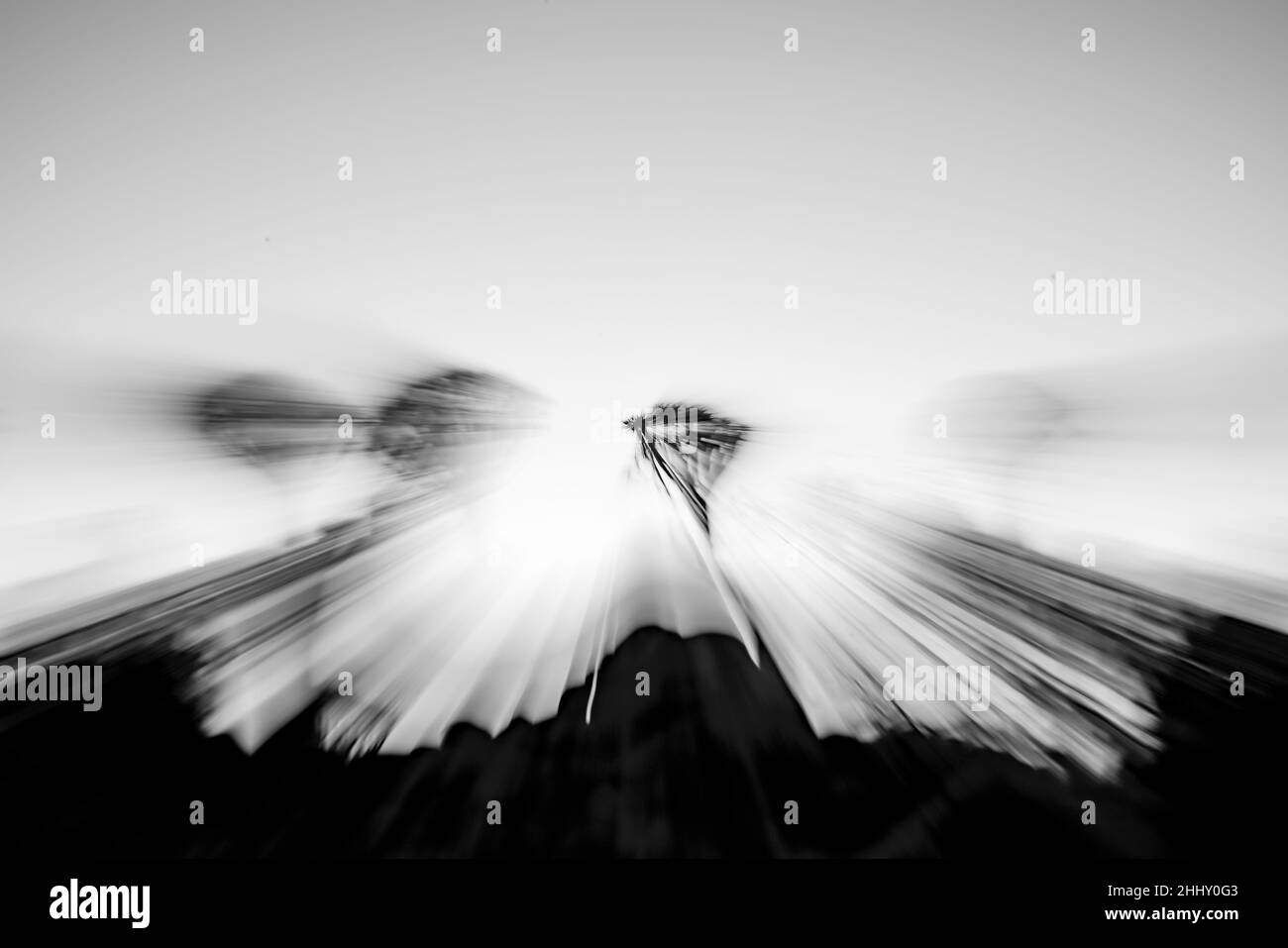 Zoom sfocatura effetto magico lunga esposizione in foresta di alberi fremici, Keetsmanshoop, Namibia in bianco e nero. Foto Stock