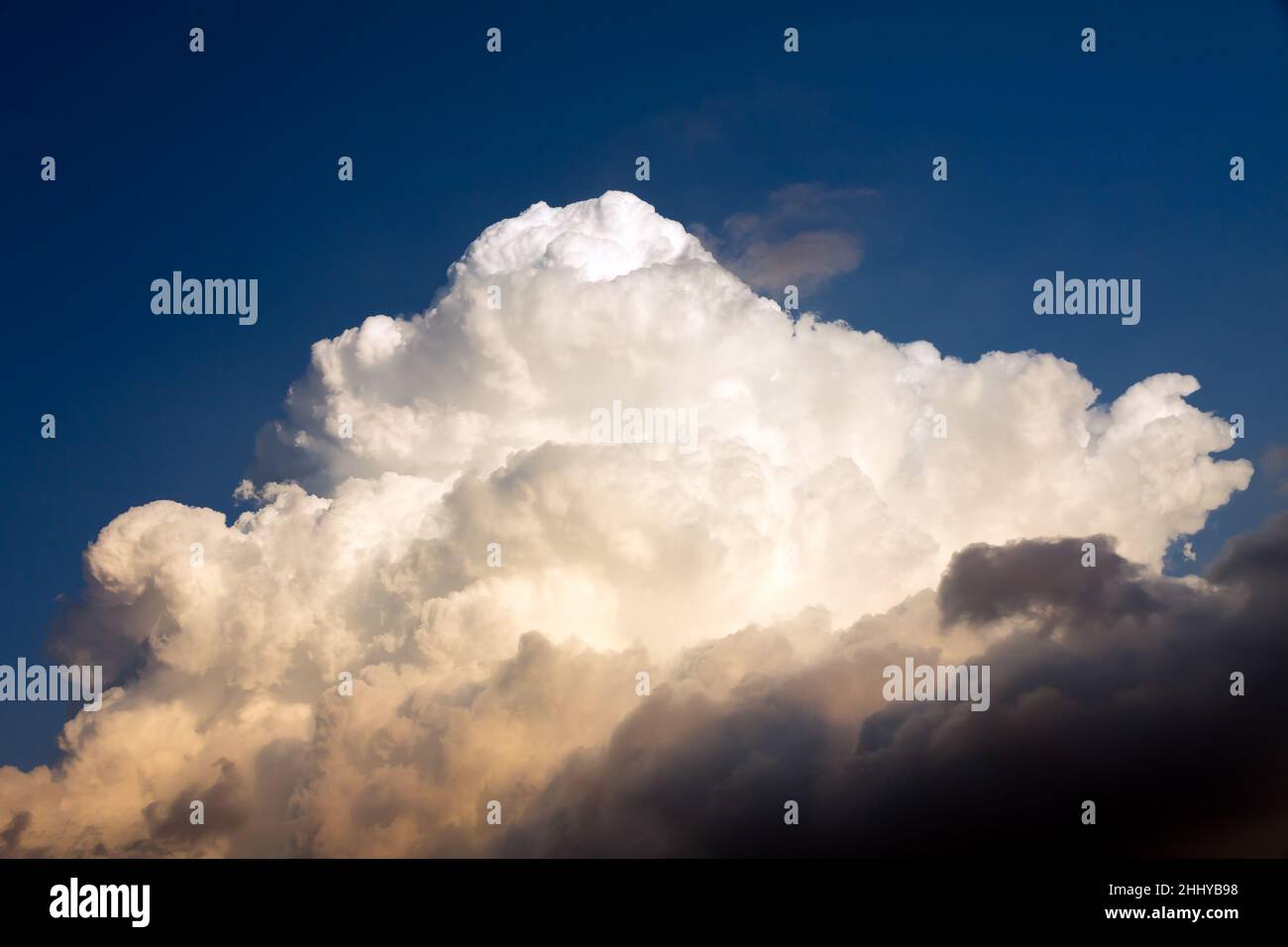 Cumulus nuvola su un cielo blu scuro. Foto Stock