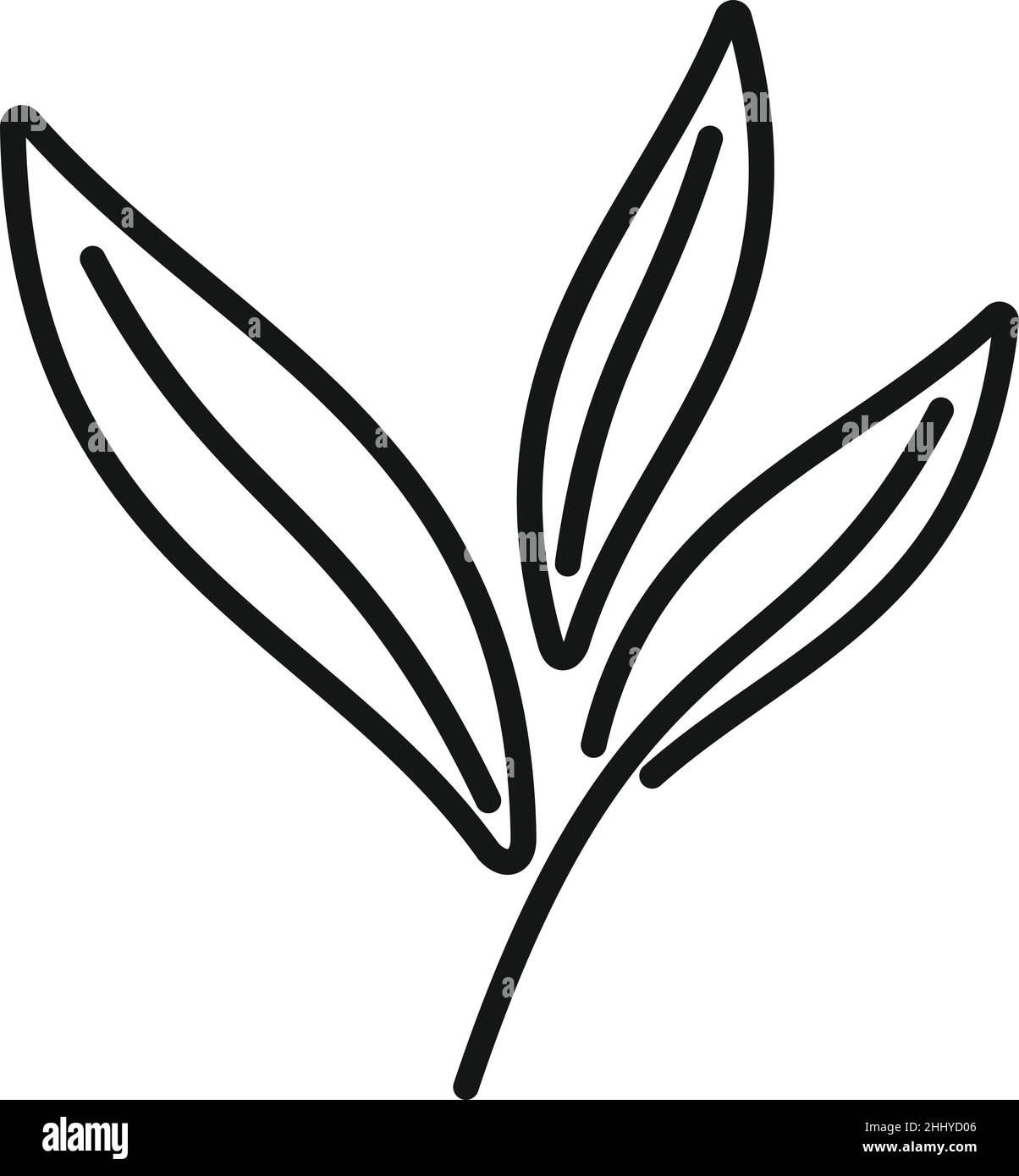 Vettore di contorno dell'icona di Sage Plant. Foglia di erbe. Macchia dell'avambraccio Illustrazione Vettoriale