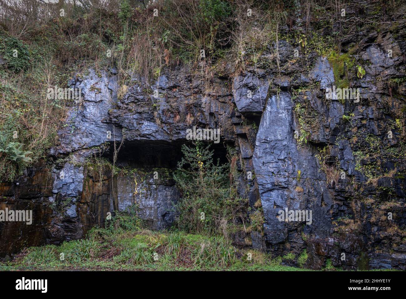 Un affioramento roccioso in una vecchia cava disutilizzata in una valle boscosa a Bodmin Moor in Cornovaglia. Foto Stock Un affioramento roccioso in una vecchia cava disutilizzata in una valle boscosa a Bodmin Moor in Cornovaglia. Foto Stock