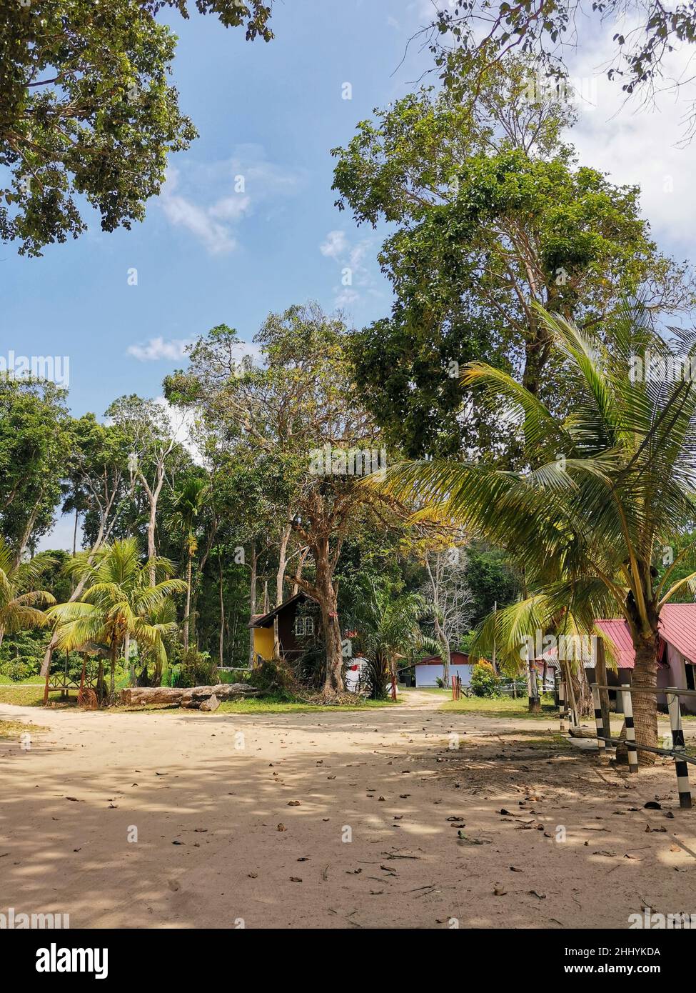 Casa rurale nel mezzo di alberi di foresta al giorno d'estate. Splendida vista sulla campagna nel quartiere rurale tropicale. Endau, Malesia Foto Stock