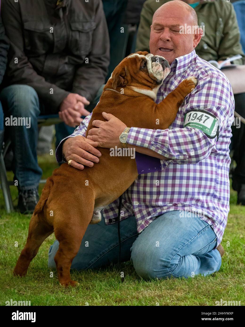 L'espositore di un film di cani coccola il suo Bulldog Foto Stock