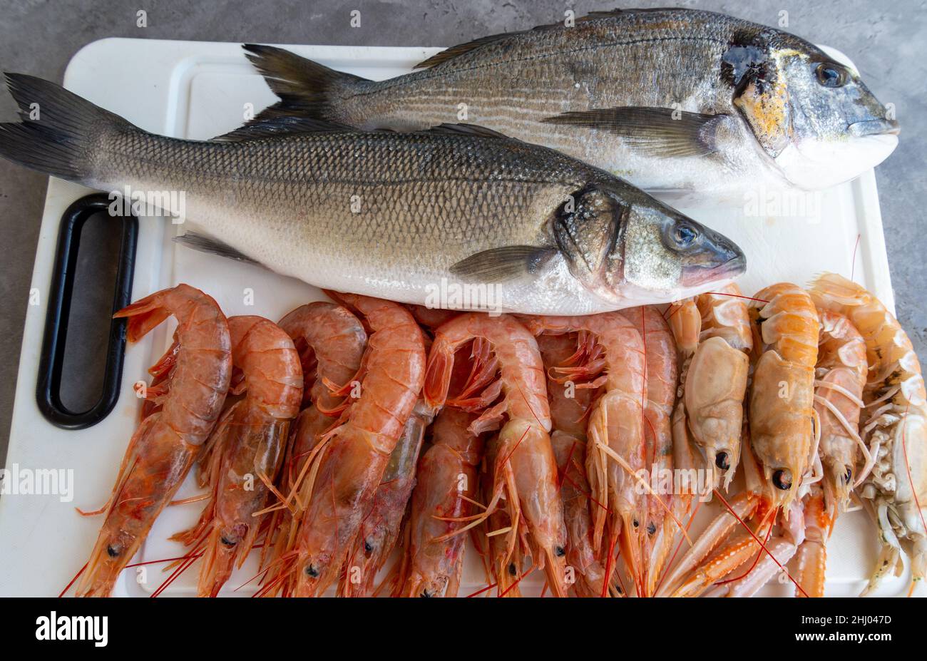 Orata, spigola, gamberi e scampi in un mercato locale in Croazia Foto Stock