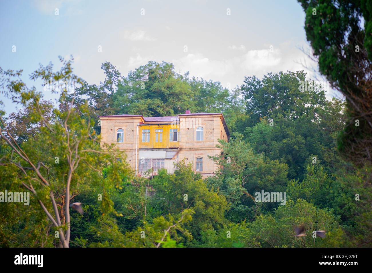 la casa è su una collina coperta di verde Foto Stock