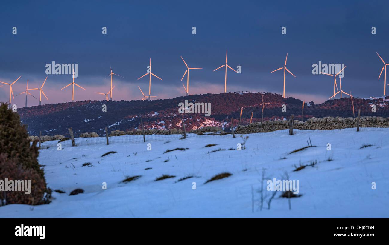 Mulini a vento nei pressi di Morella, all'alba d'inverno, dopo una nevicata (provincia di Castellón, Comunità Valenciana, Spagna) ESP: Aerogeneradores cerca de more Foto Stock