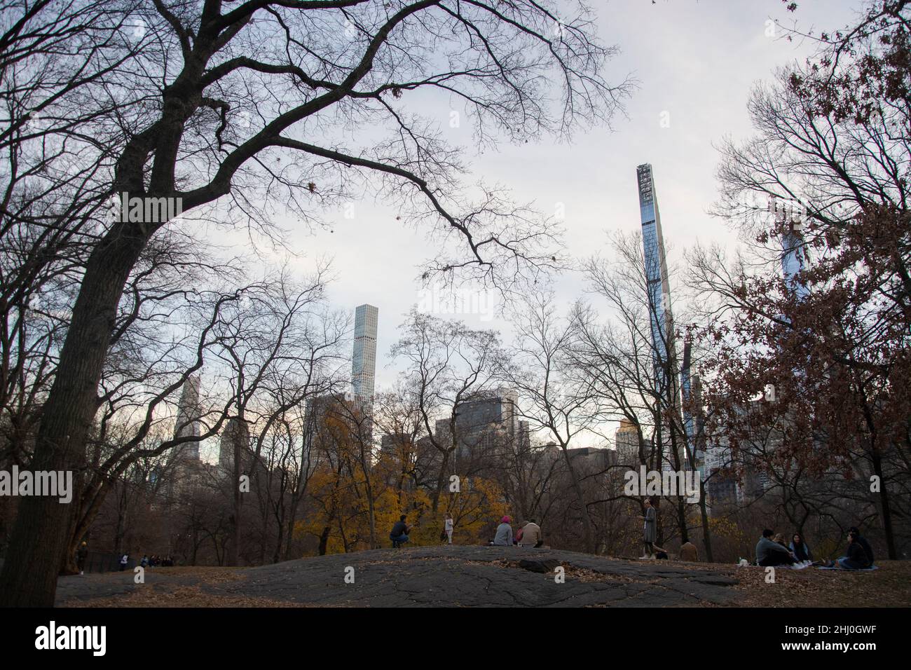 Die altehrwürdigen Bäume des Central Parks kontrastieren mit den neuen Wolkenkratzern südlich des Parks Foto Stock