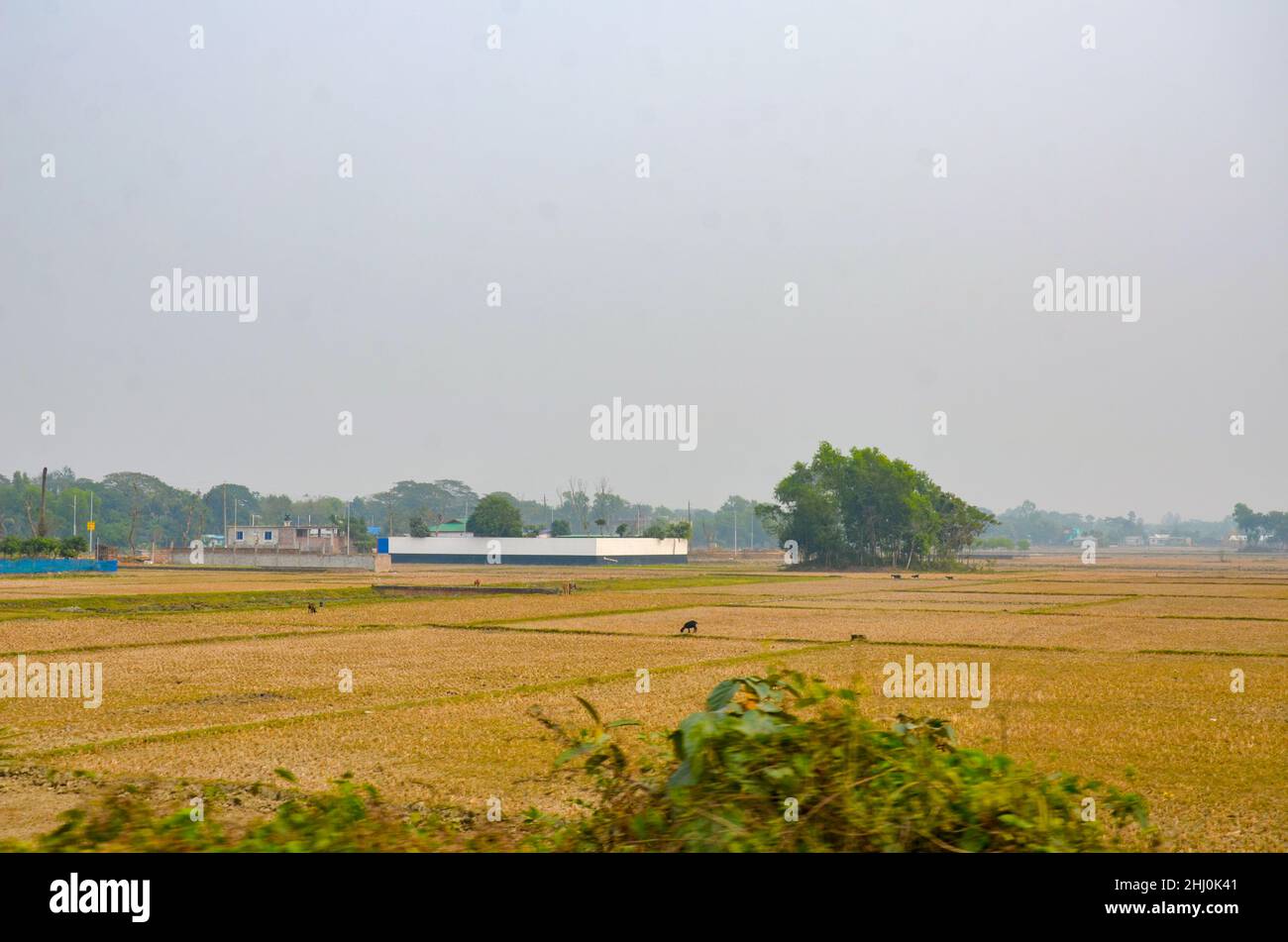 Vista di Mymensingh, Bangladesh Foto Stock