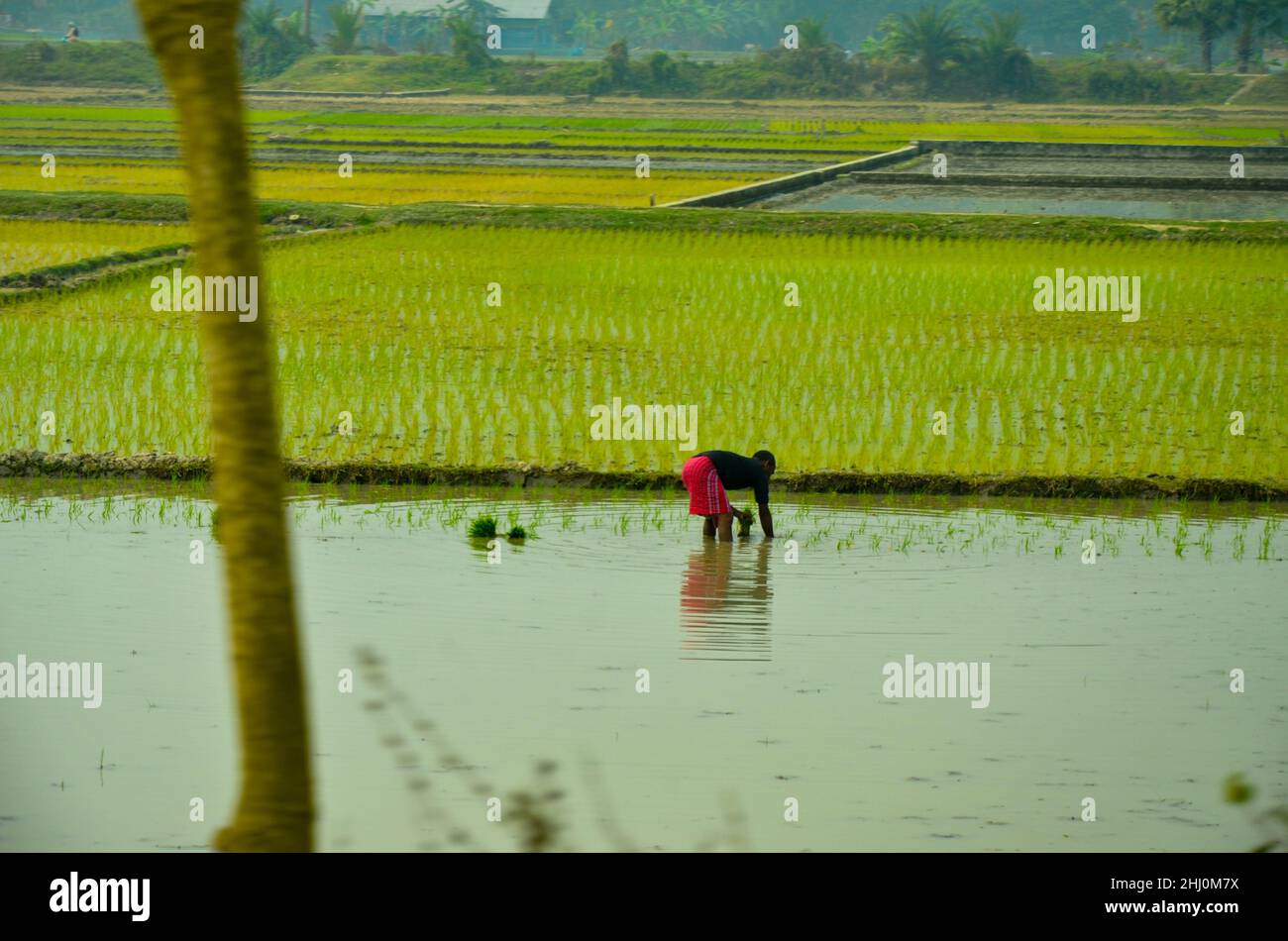 Vista di Mymensingh, Bangladesh Foto Stock
