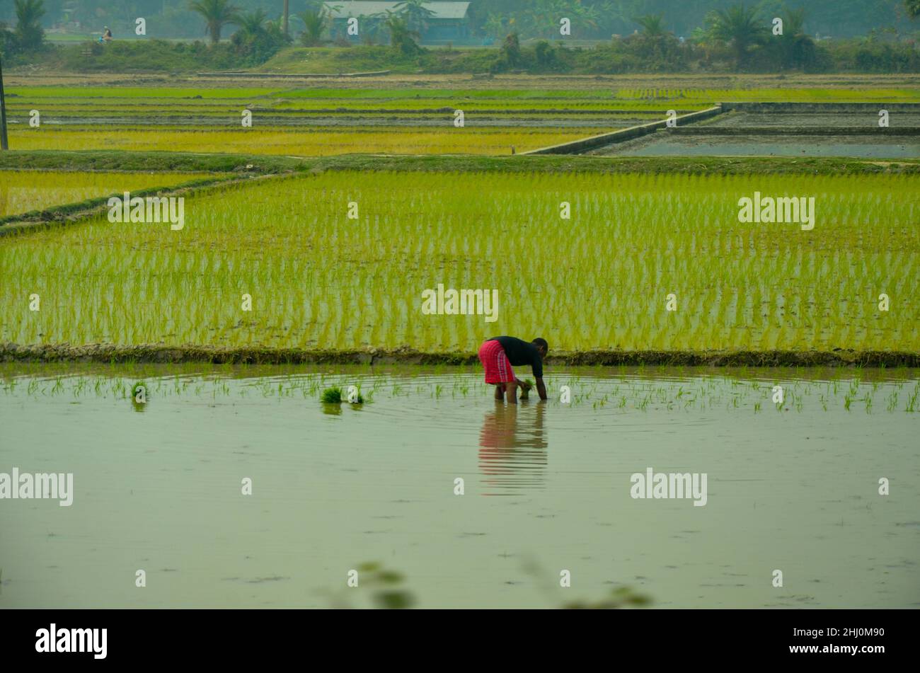 Vista di Mymensingh, Bangladesh Foto Stock