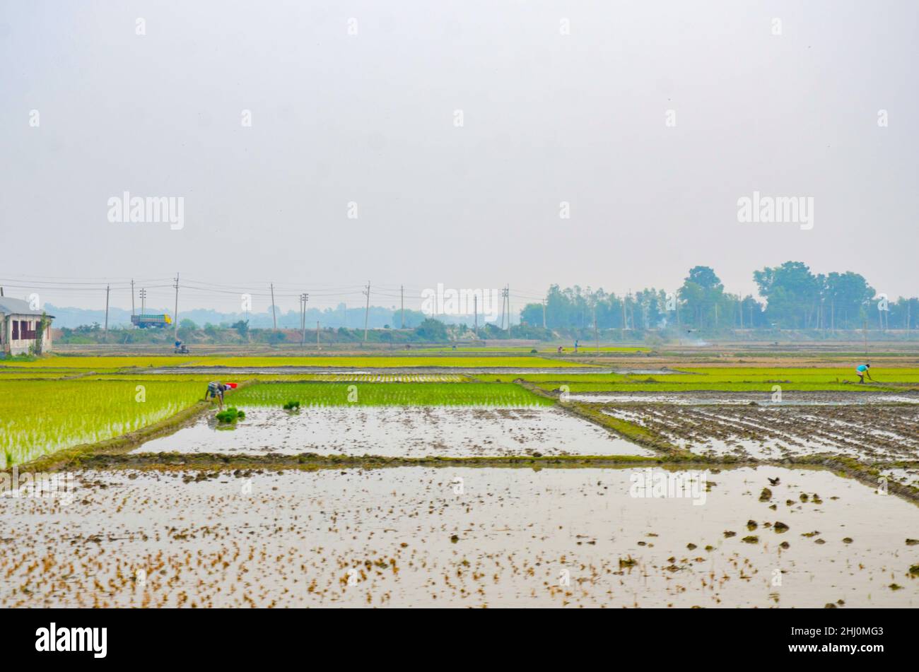 Vista di Mymensingh, Bangladesh Foto Stock