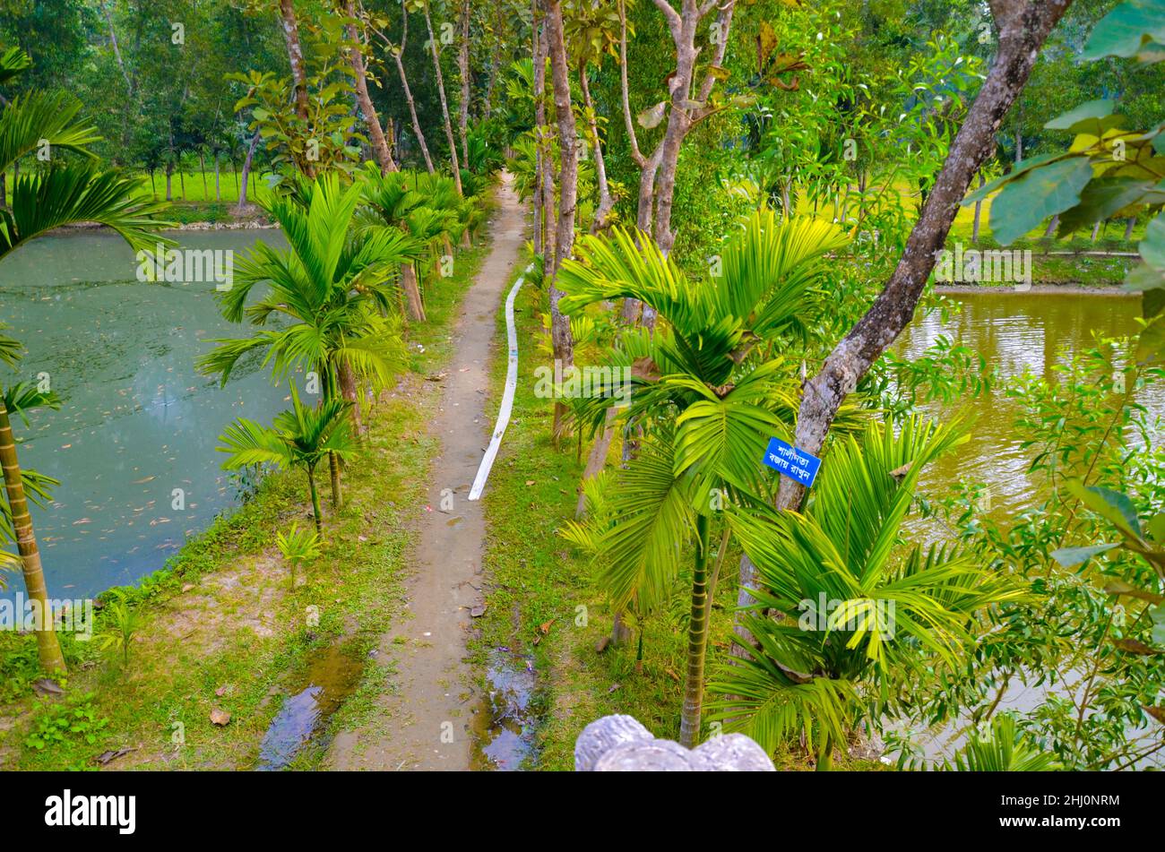 Vista di Mymensingh, Bangladesh Foto Stock