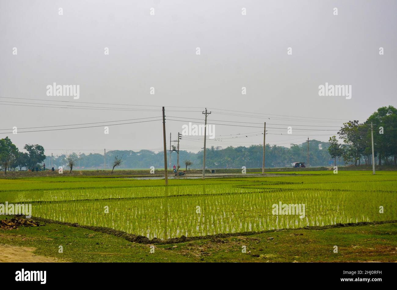 Vista di Mymensingh, Bangladesh Foto Stock