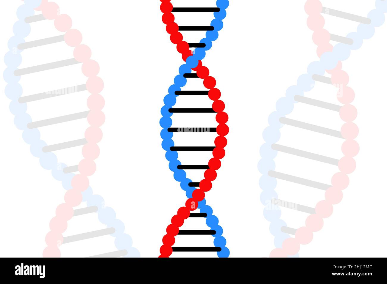 Struttura del DNA isolata. Biologia o biotecnologia scienza astratto illustrazione sfondo. Sezione trasversale dell'anatomia delle cellule umane Foto Stock
